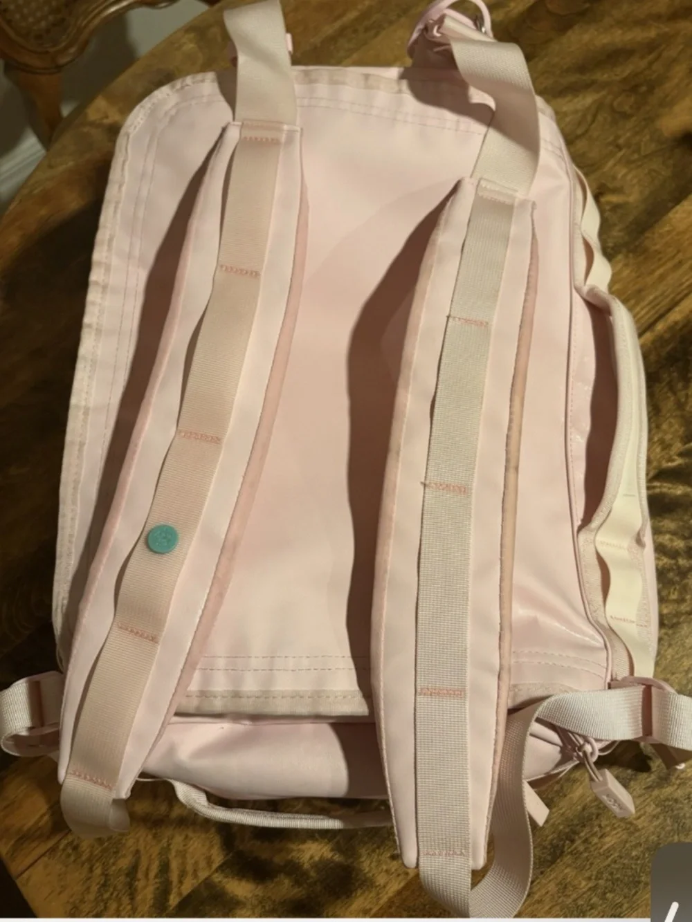 Baboon to the moon go bag 32L limited